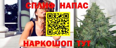 jwh Нальчик